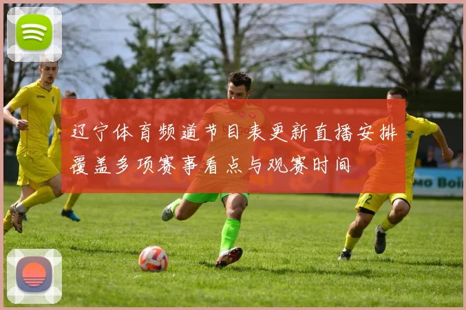 辽宁体育频道节目表更新直播安排覆盖多项赛事看点与观赛时间