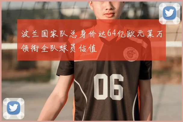 波兰国家队总身价达64亿欧元莱万领衔全队球员估值