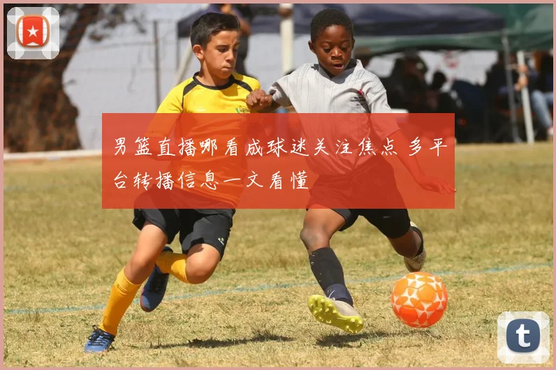男篮直播哪看成球迷关注焦点 多平台转播信息一文看懂