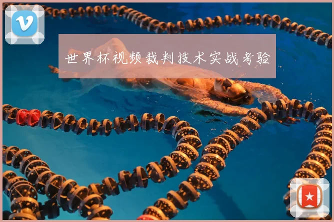 世界杯视频裁判技术实战考验