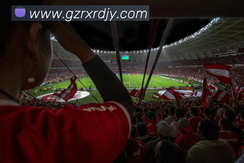 多媒体互动体验