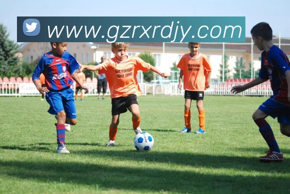 数据防护可视化